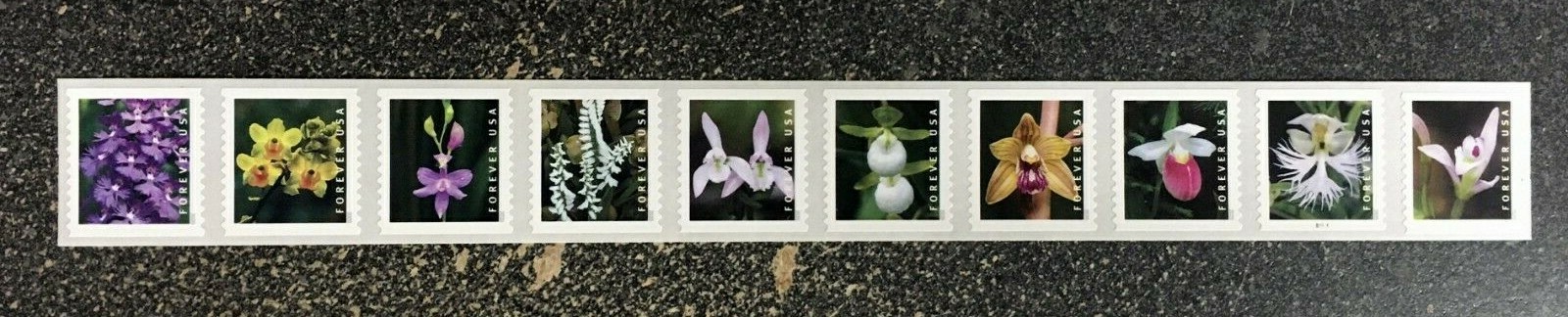 2020USA #5435-5444 Forever Wild Orchids - Plate Number PNC Coil Strip of 10 Mint