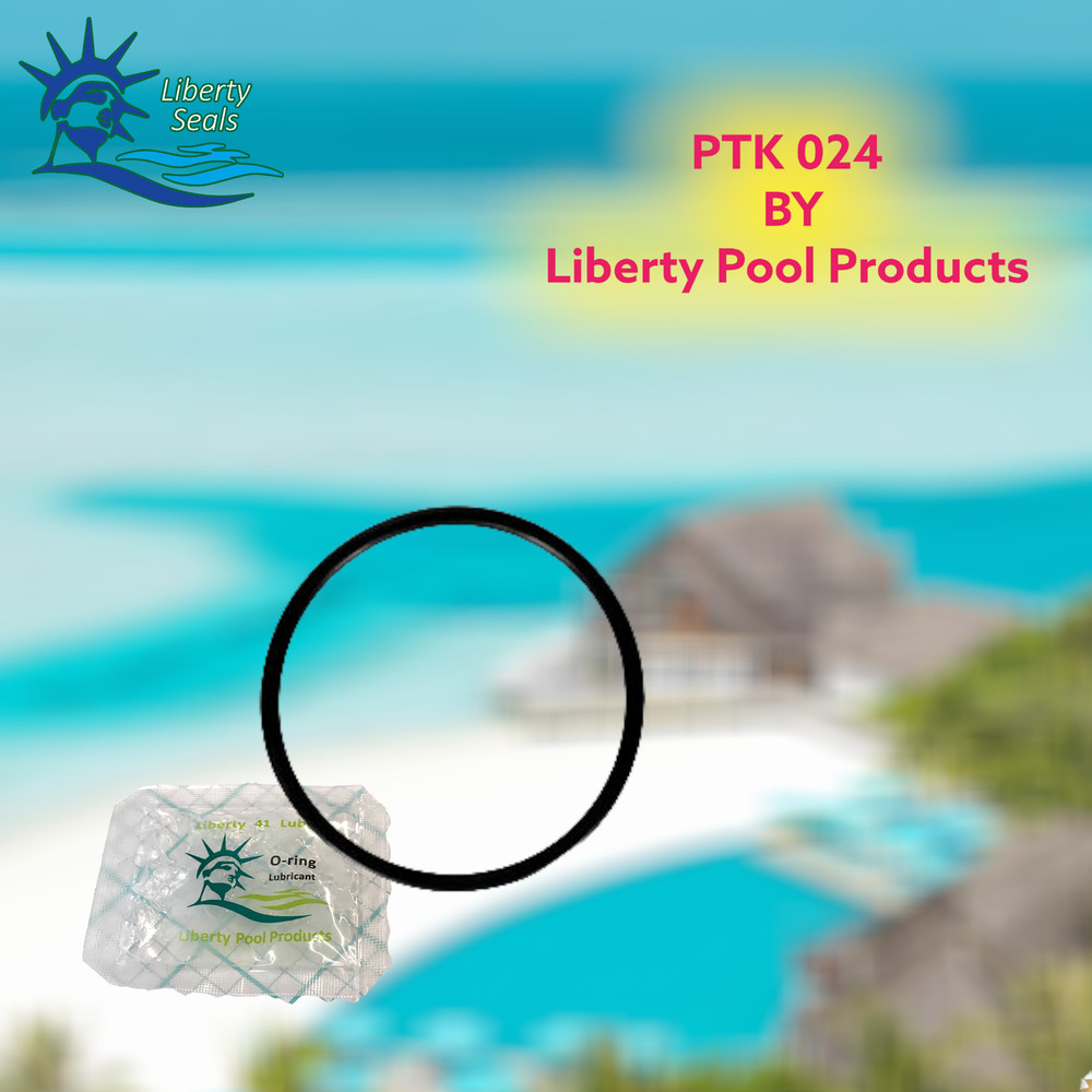 192323 O-Ring Replacement Pool/Spa D.E. Filter and Pump For Pentair