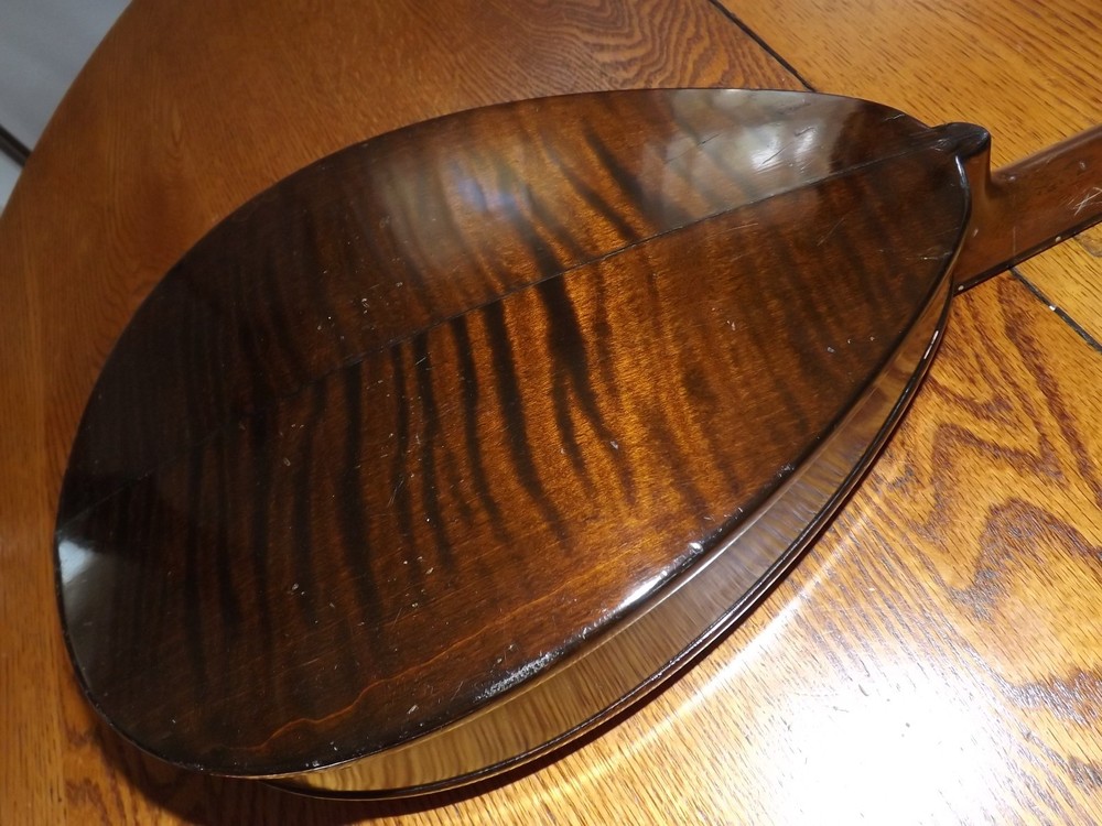 Rare Weymann Mandolute 100yrs old