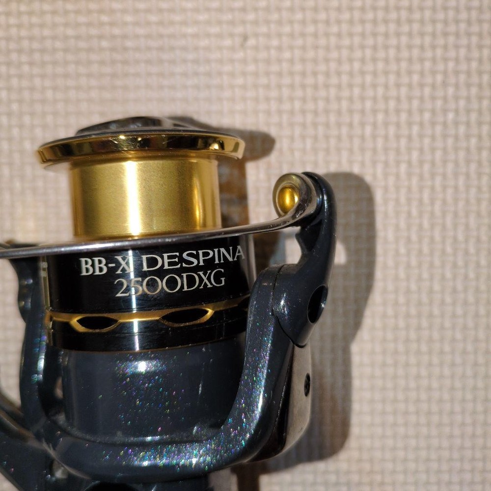 BB-X DESPINA 2500DXG