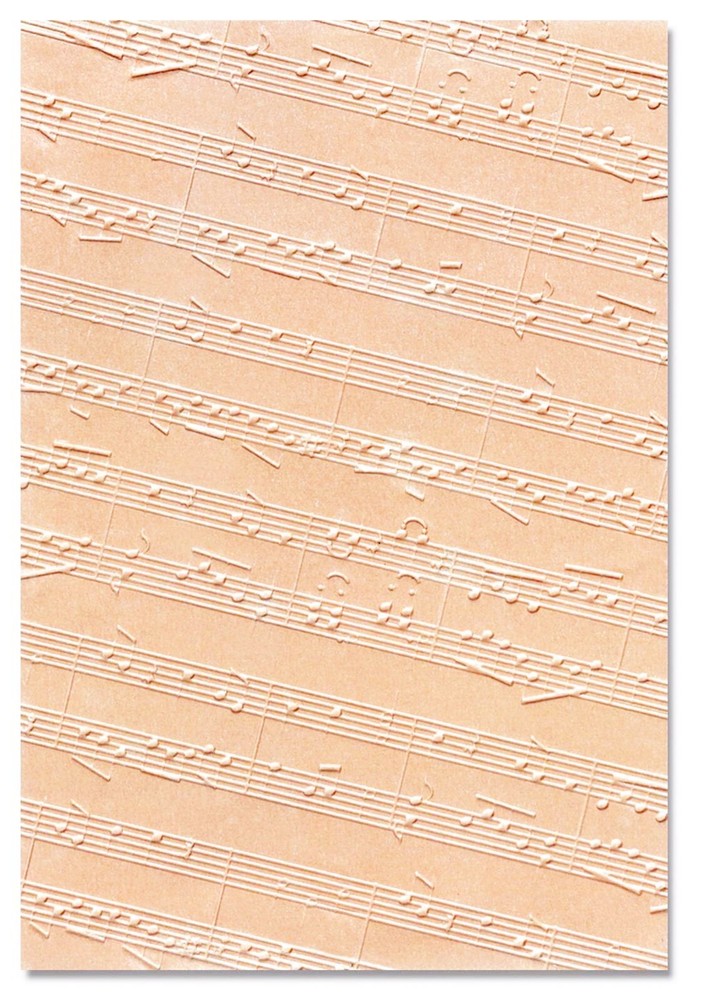 Sizzix Musical Notes 3D Embossing folder #666212 Retail $11.99 design Kath Breen