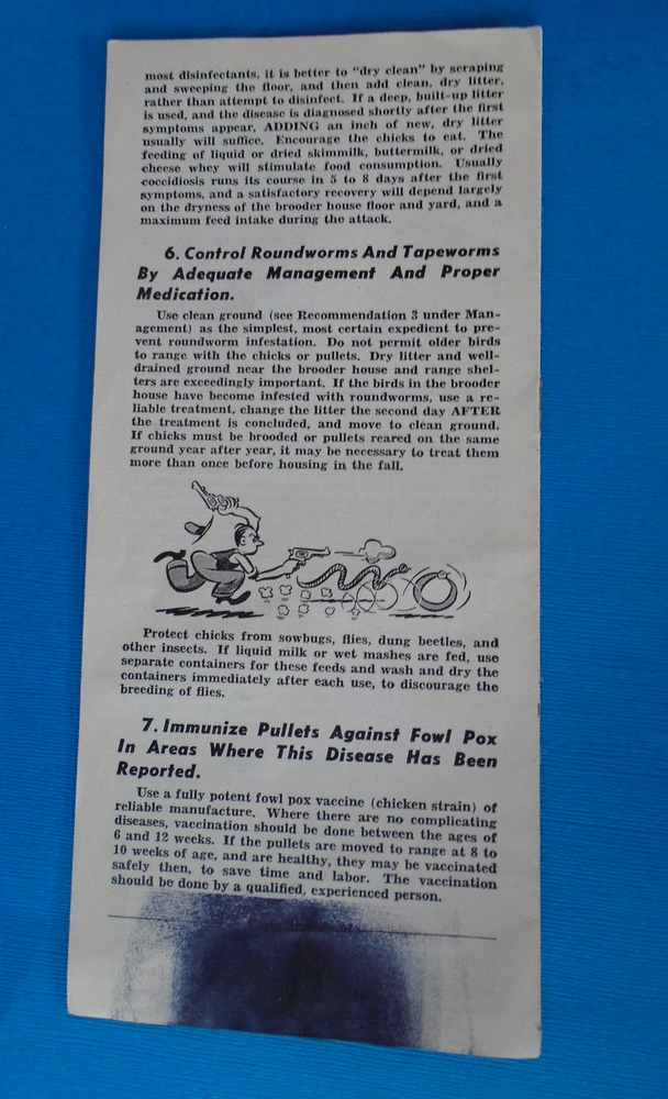 WWII Chicken brooding & Rearing Program for Victory brochure