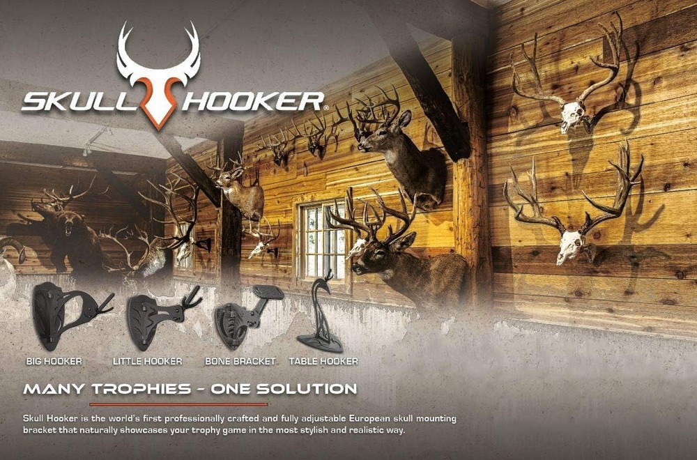 Customizable Trophy Mount for Black Bear, Alligator - Little Hooker in Graphite