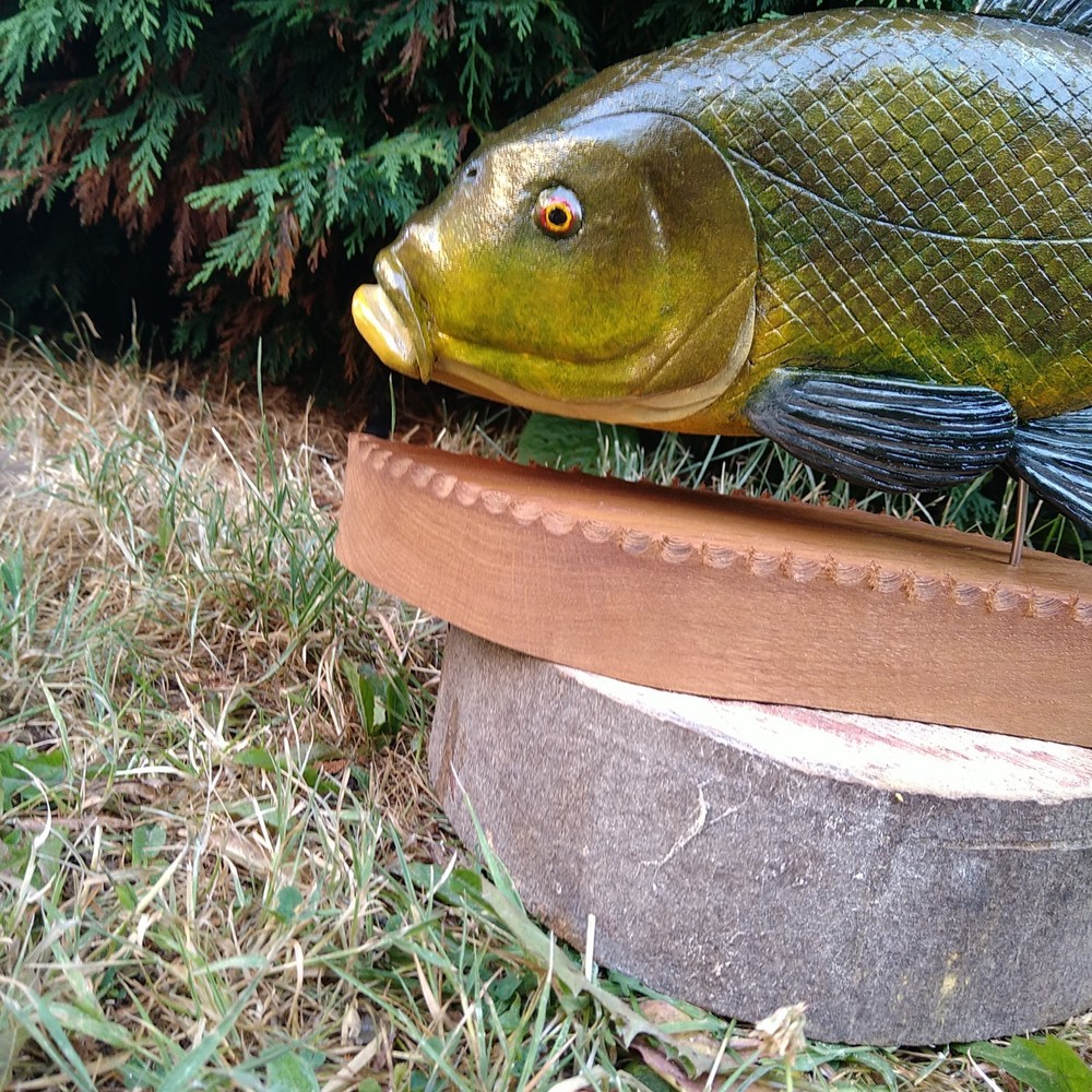 Tench Fishing , fish