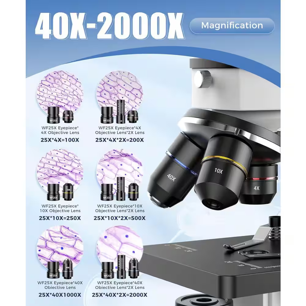 Compound Microscope 100X-2000X High-Power Biological Microscope for Students wit