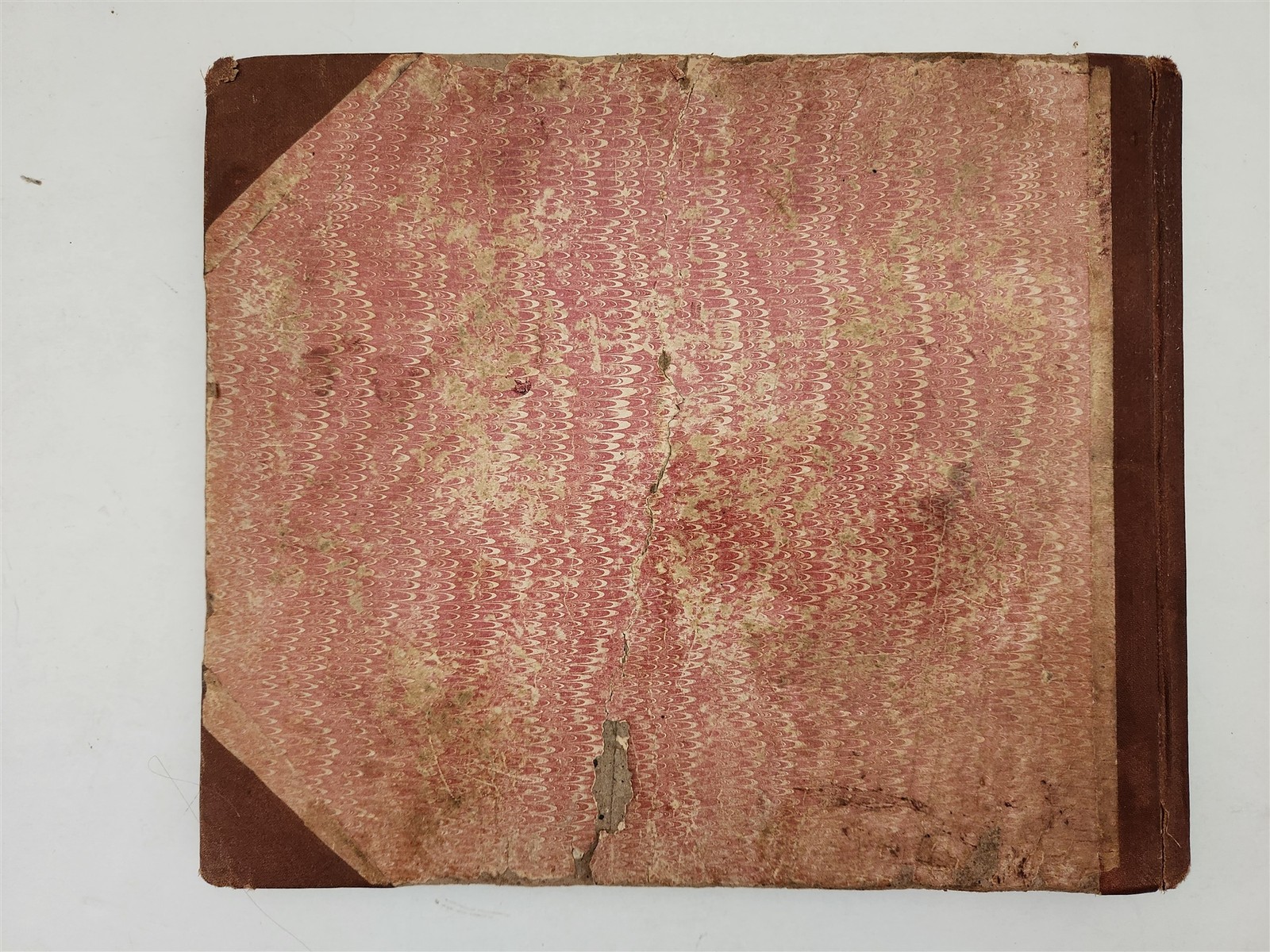 1883 antique SEAWEED pressed ALBUM monterey ca EUGENIE PHILLIPS specimen book