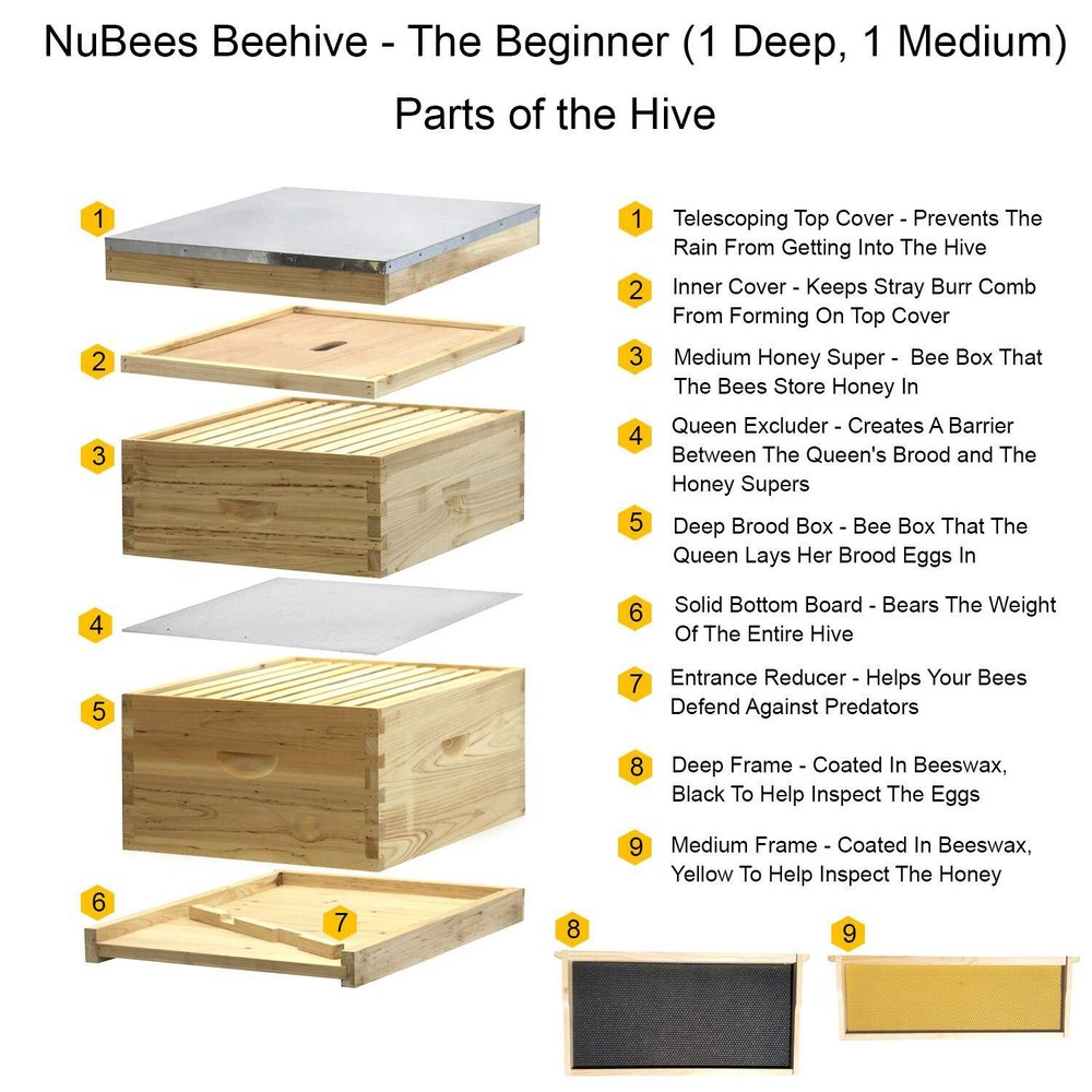NuBee 8-Frame Complete Beehive Kit – Unassembled (2 Deep + 1 Medium Boxes) with