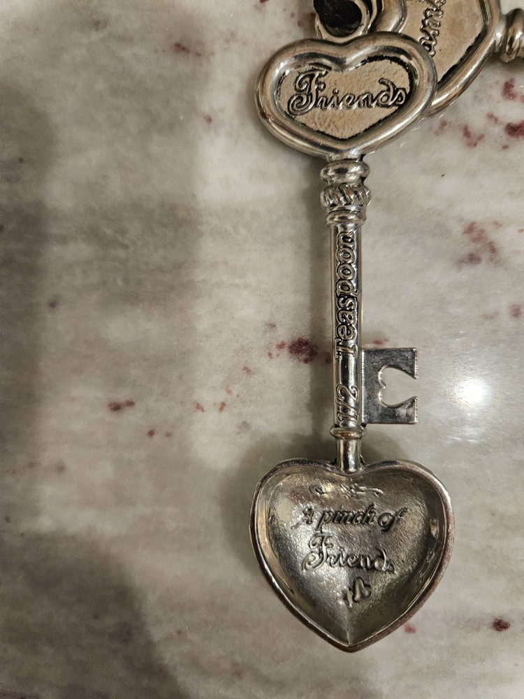 4 GANZ Collectible Measuring Spoons