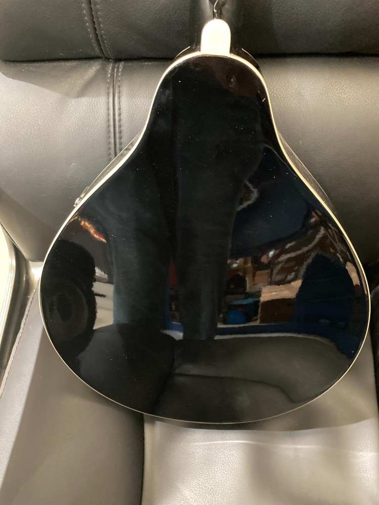 Taurus Mandolin TM-001 (Damaged case)