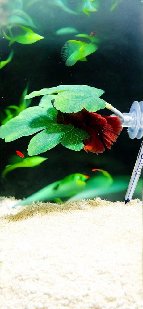 Betta Resting Leaf | Natural-Style Betta Fish Bed for Aquariums