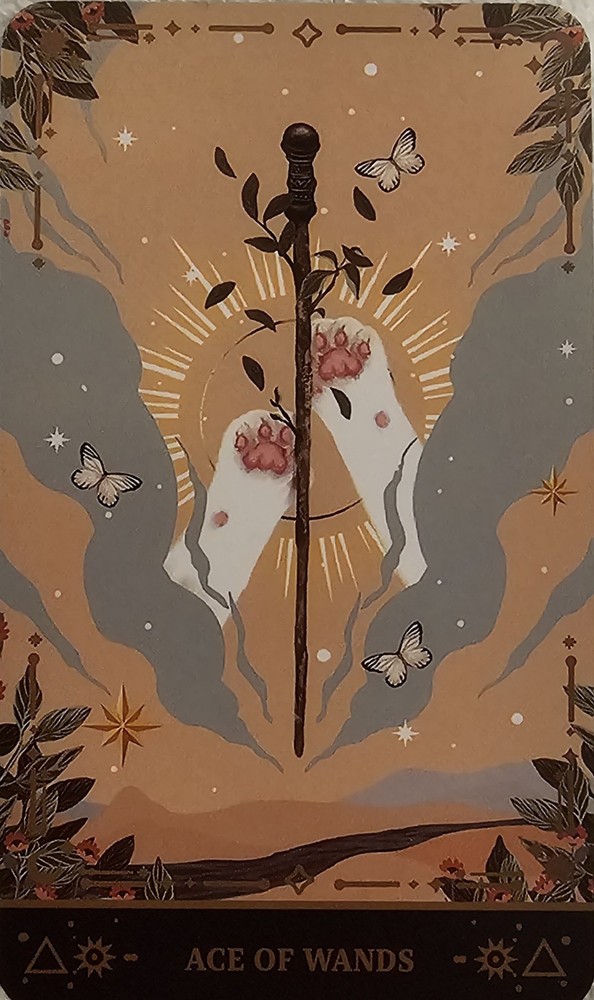 Muse Cat Tarot Deck