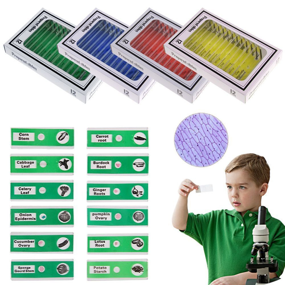 Plastic microscope slide biological specimen with microscope for childrenstudent