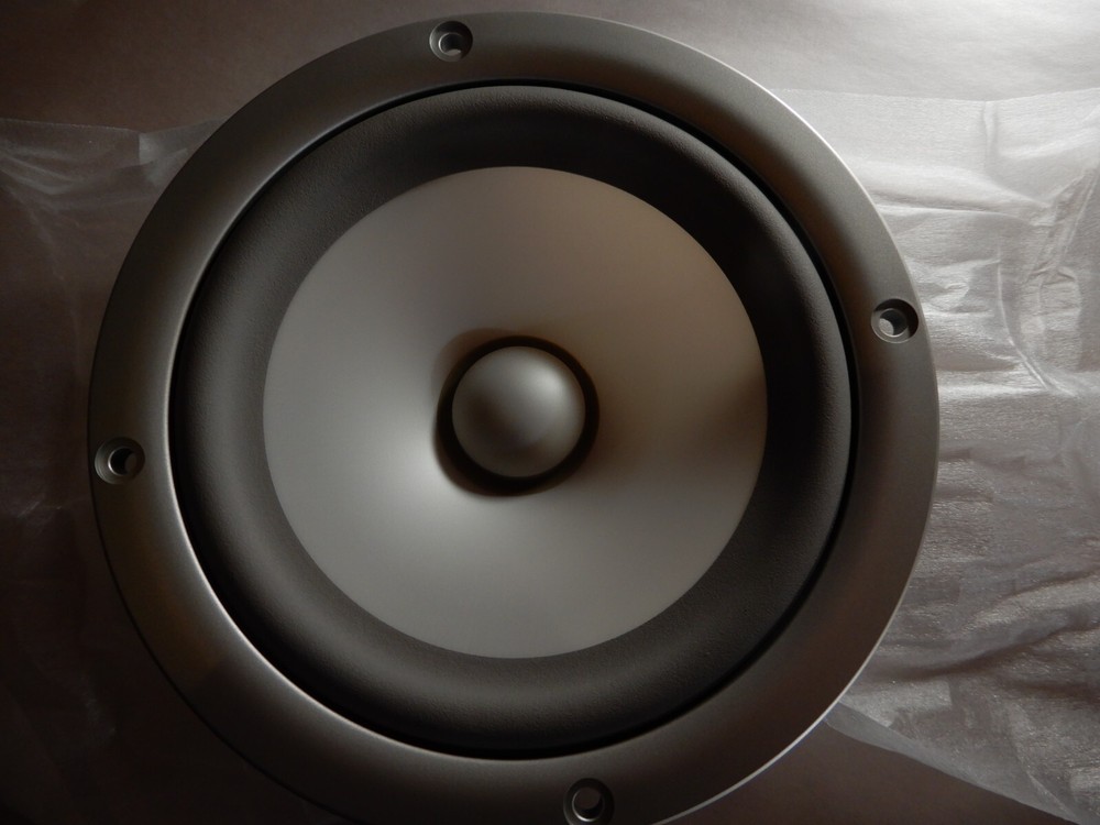 Yamaha Speaker X6830A00 Drive Woofer