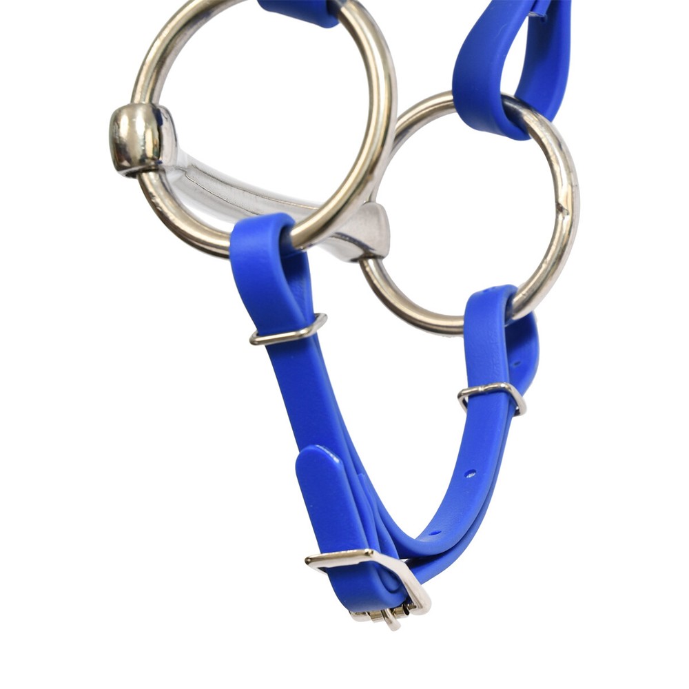 READY MADE- HORSE SIZE Royal Blue CURB STRAP