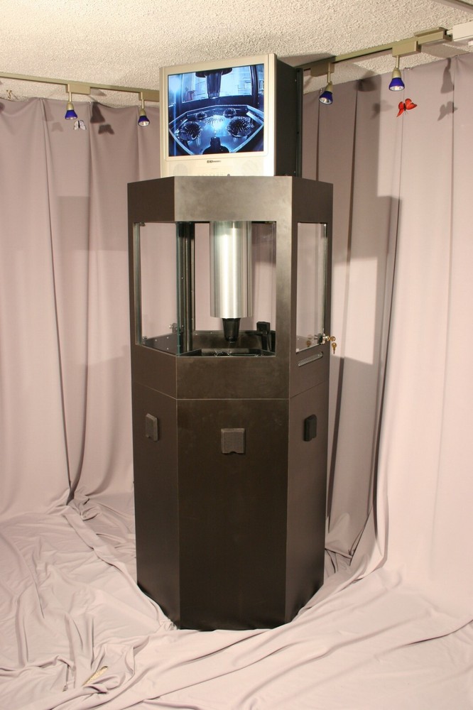 Ferrofluid Display Professional Exhibit