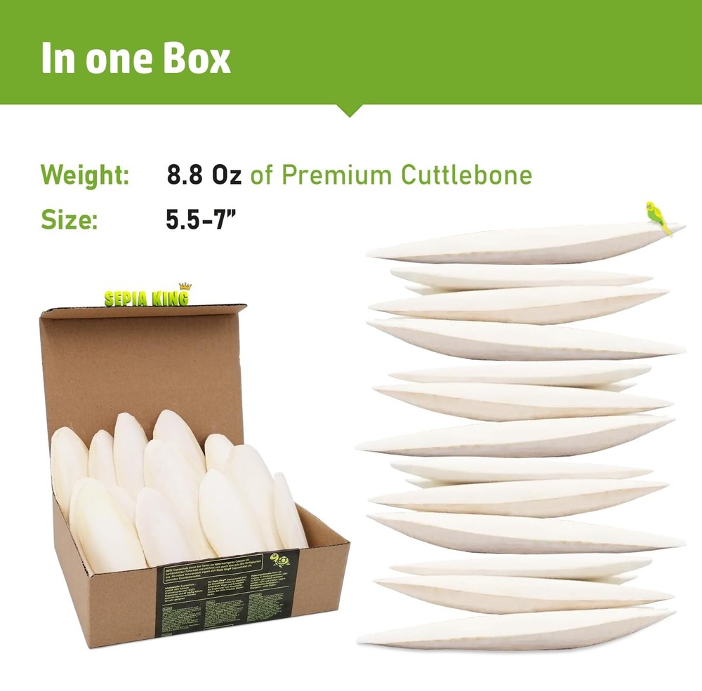 Natural Cuttlebone Calcium Supplement Large