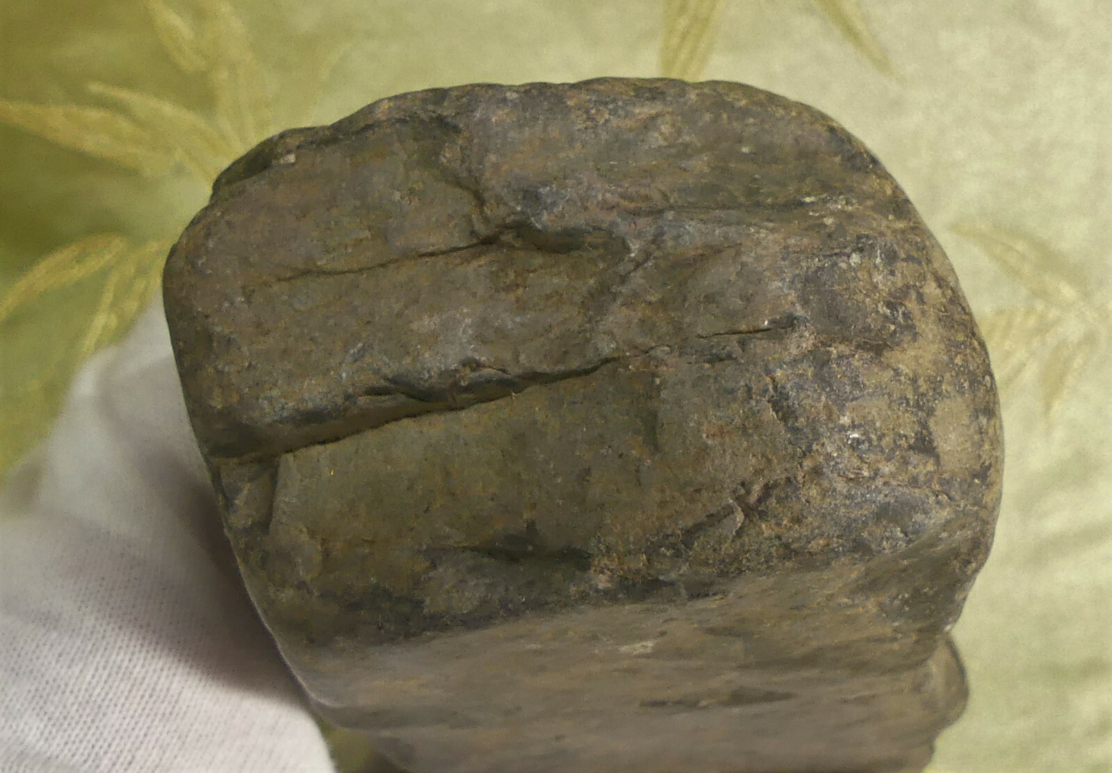 Native American 6" Long Stone Wedge to Fell Trees. Kalapuya Tribe, Oregon. AACA