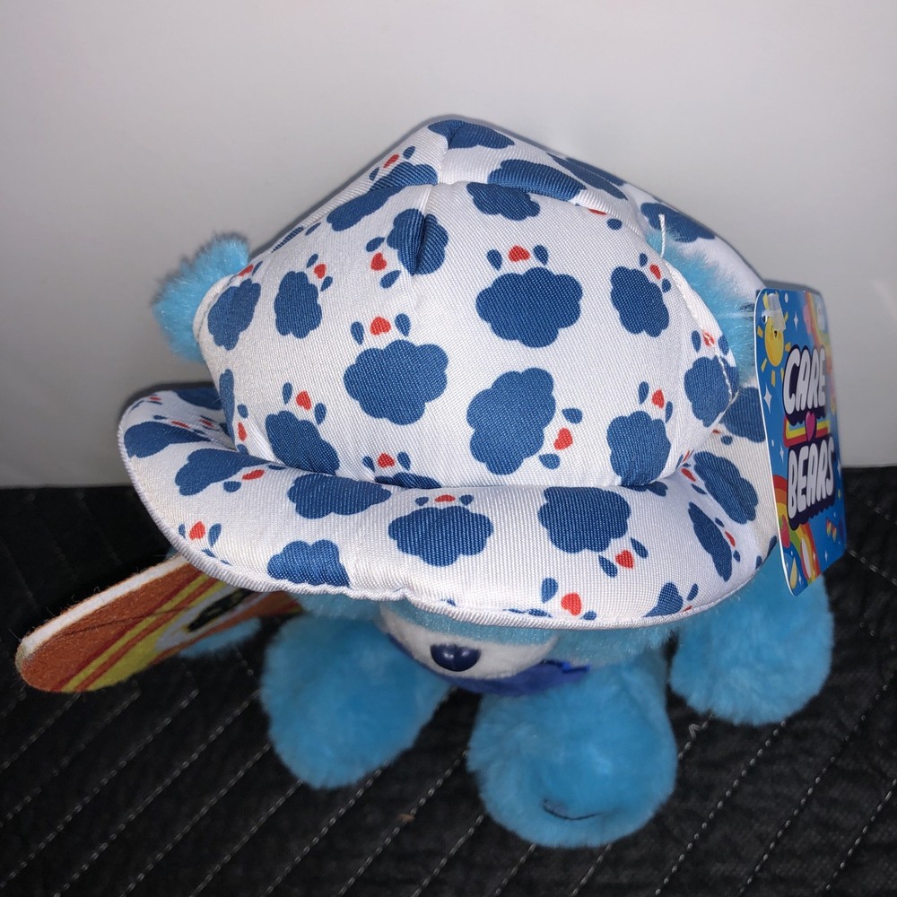 Care Bears ~ Grumpy Bear With Surfboard Plush ~ Approx 10” ~ NEW
