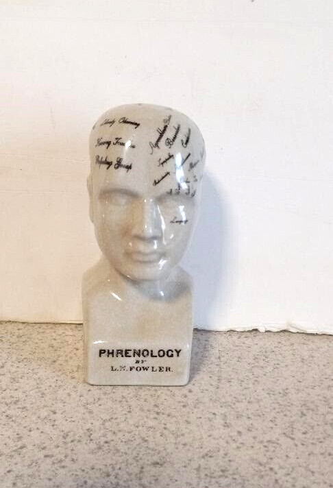 PHRENOLOGY HEAD MEDICAL BUST SCIENTIFIC PORCELAIN 6 INCH NEW