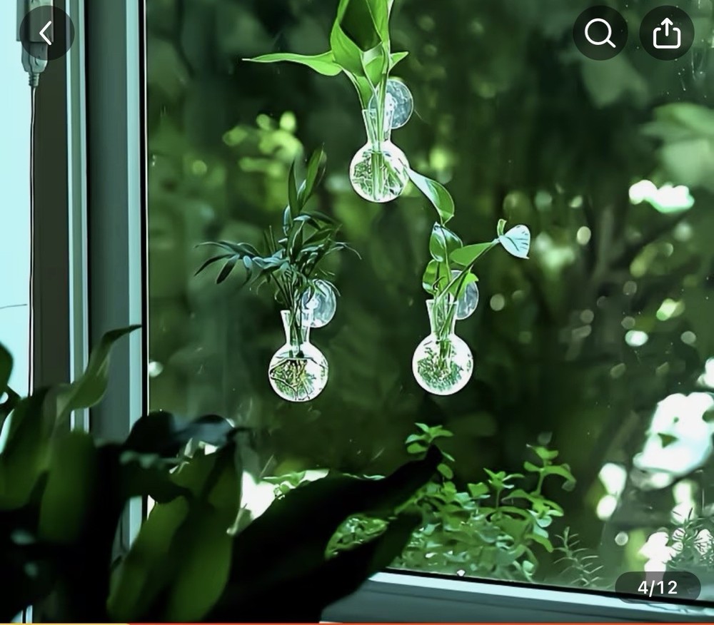 2 Pack Window Propagation Stations Plastic Wall Hanging Planter with Suction ...