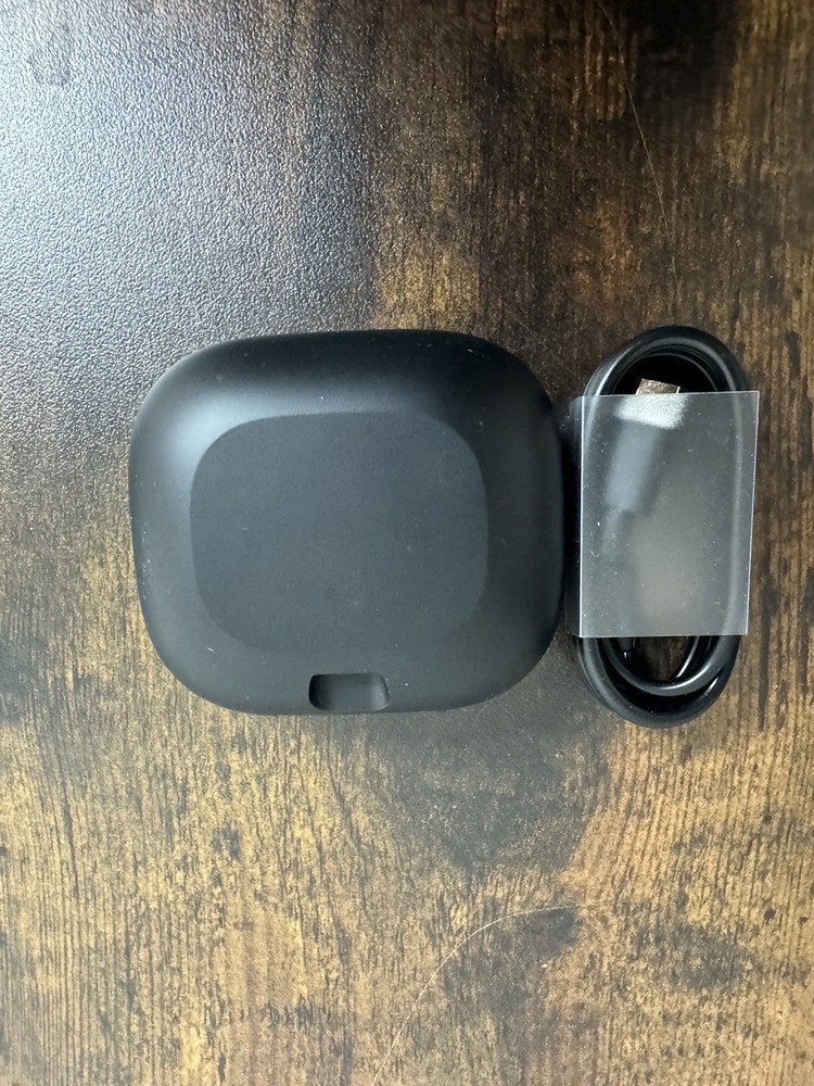 Beats Powerbeats Pro 2 Wireless Earbuds - Black