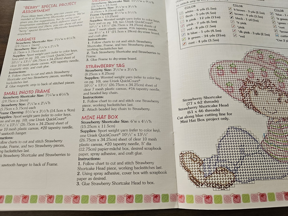 Strawberry Shortcake Frames & Keepsakes Booklet Plastic Canvas Craft Patterns