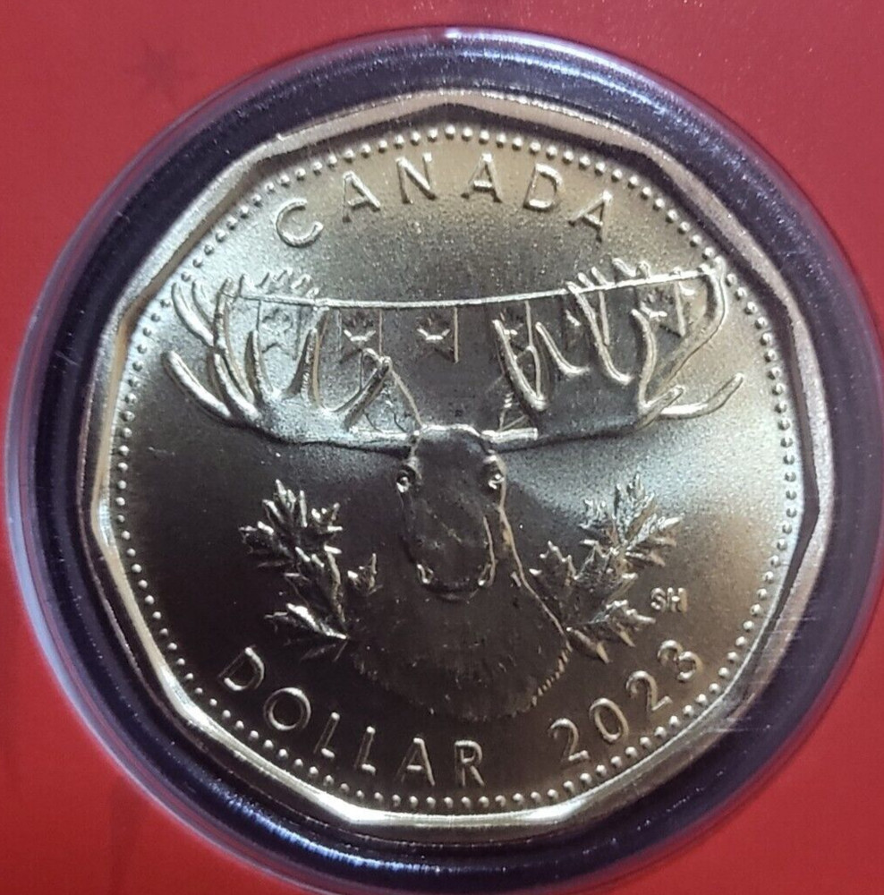 🇨🇦 2023 Oh! Canada New Lonnie