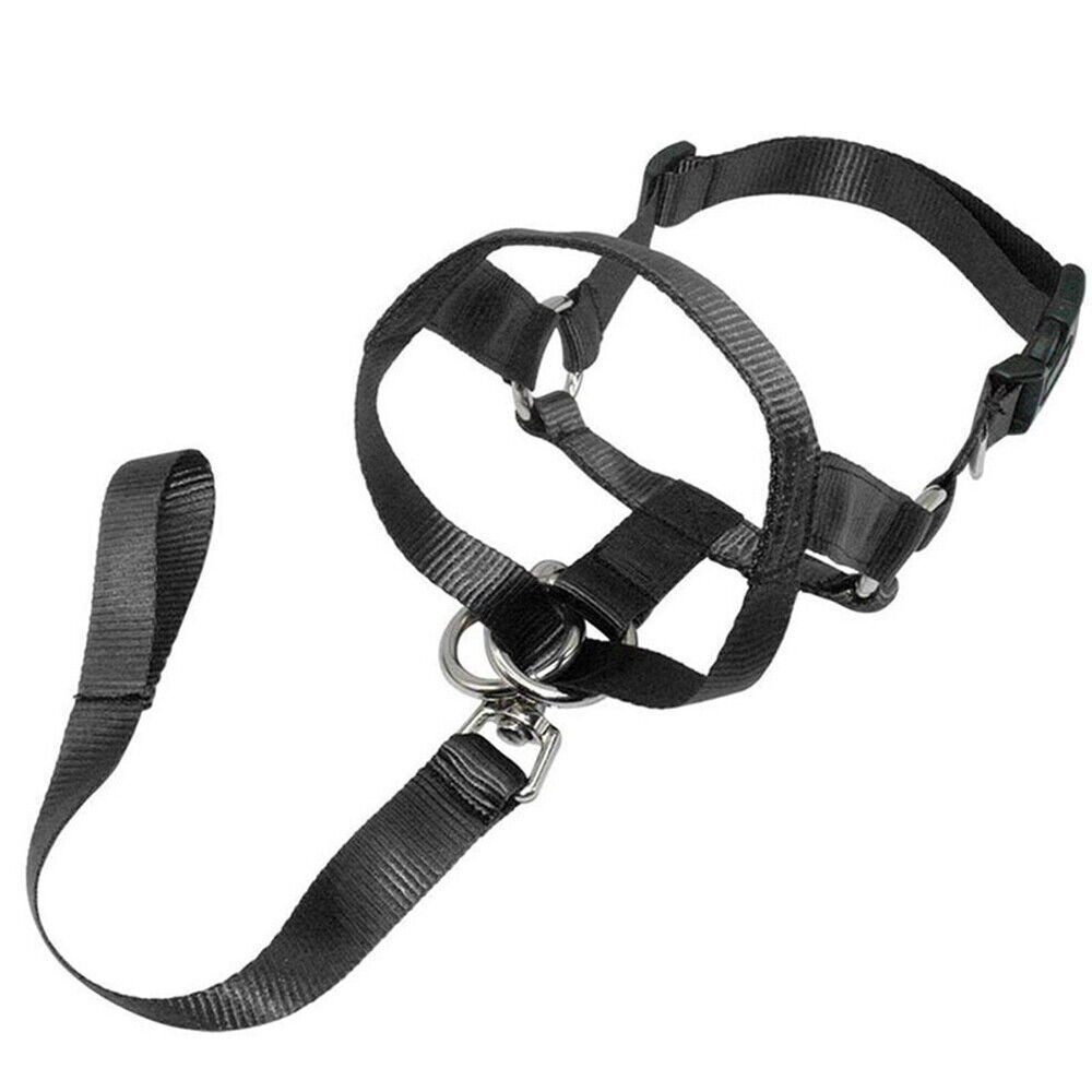 Padded Head Collar Champion Dog Training Halter Stops Dog Pulling Training Tool