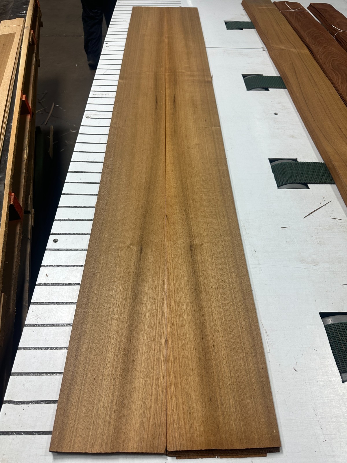 Teak Raw Wood Veneer 2 sheets 88" x 7.5'' 917R