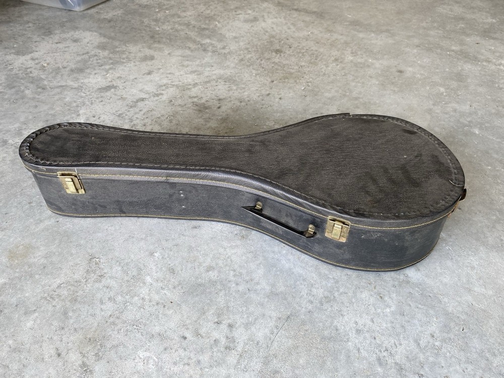 Mandolin with Hard Case – Ready to Play!