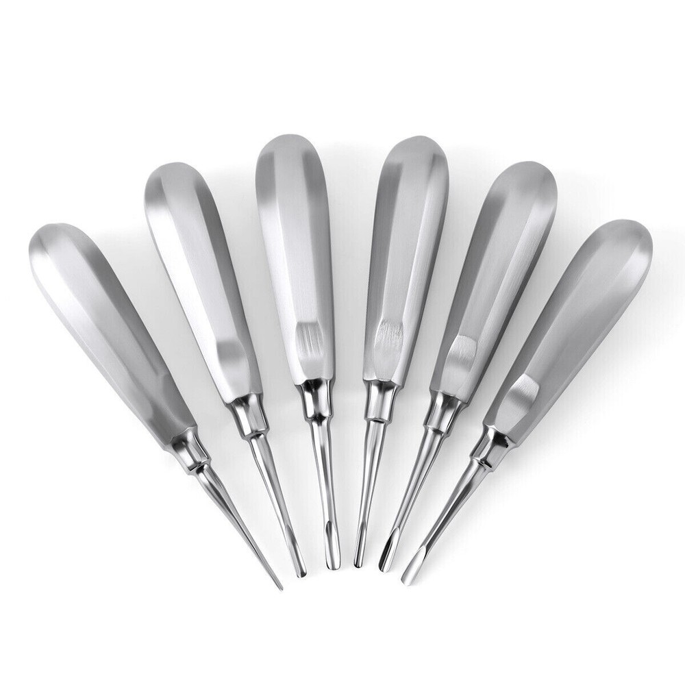 6 Pcs Dental Tooth Extraction Root Elevators #1-6 Set Luxating Luxation Elevator