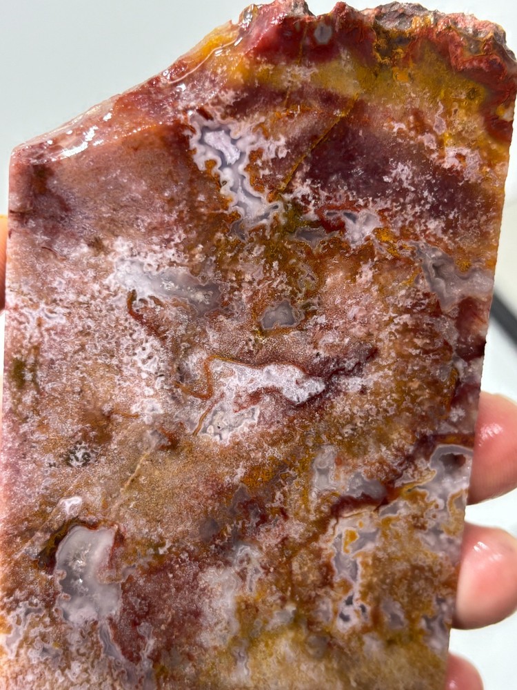 Mexican Red Moss Agate Slab Lapidary Cabbing Combo Ship Avail