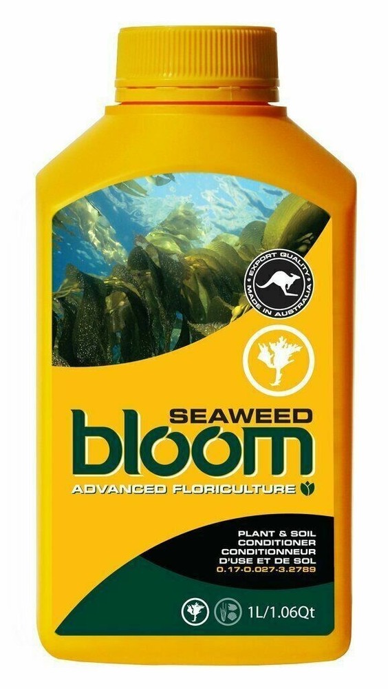 Bloom Yellow Bottle - Seaweed / 10 oz