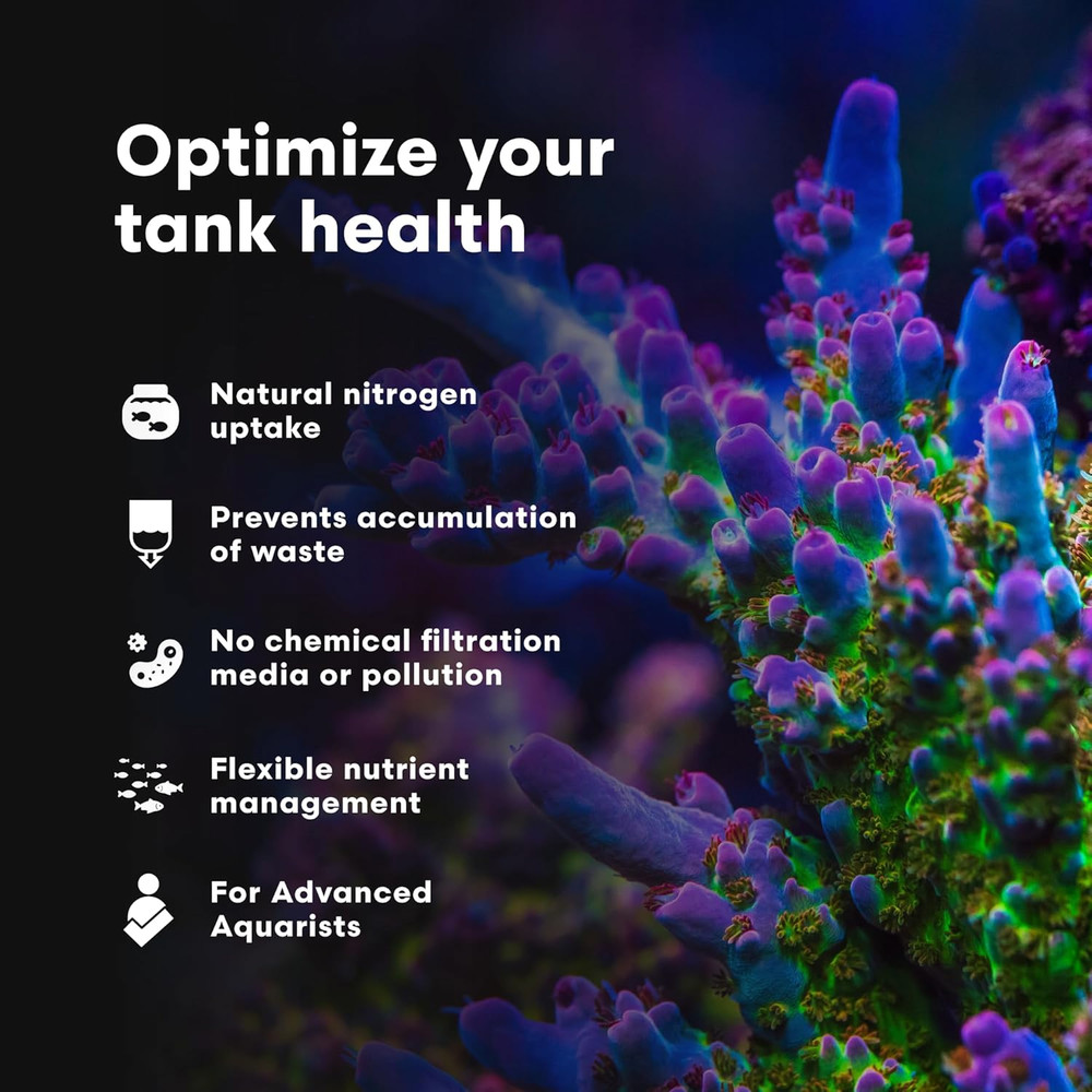 - Neophos - Balanced Phosphorus Source for Phosphorus-Limited, Low-Nutrient Reef