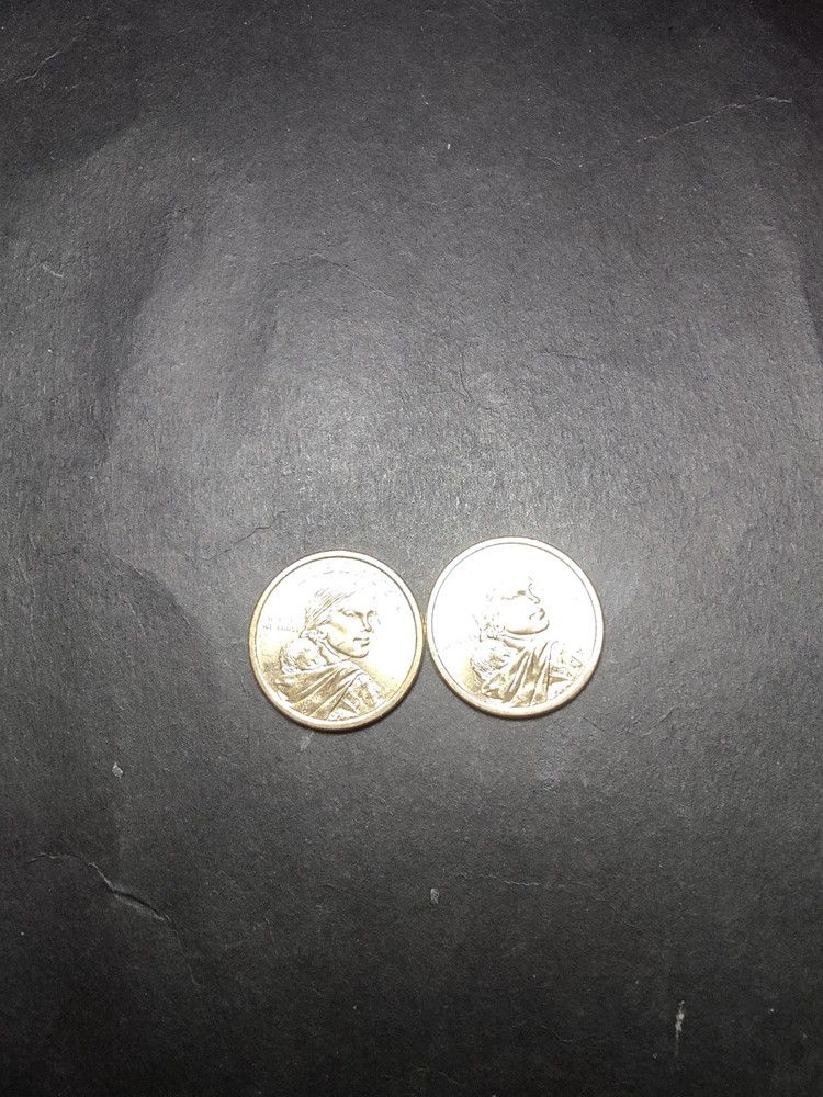 2009 D Brilliant Unc Sac $1   2X Coin  [7]
