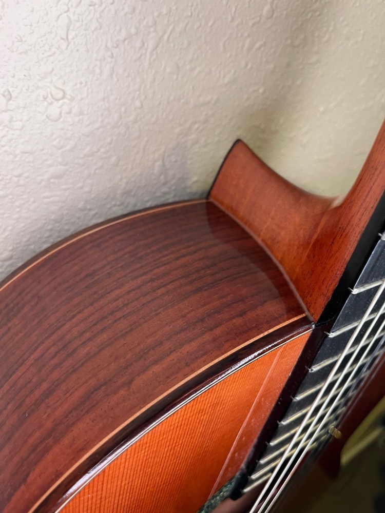 Alhambra 5P Classical Guitar With Hard Case