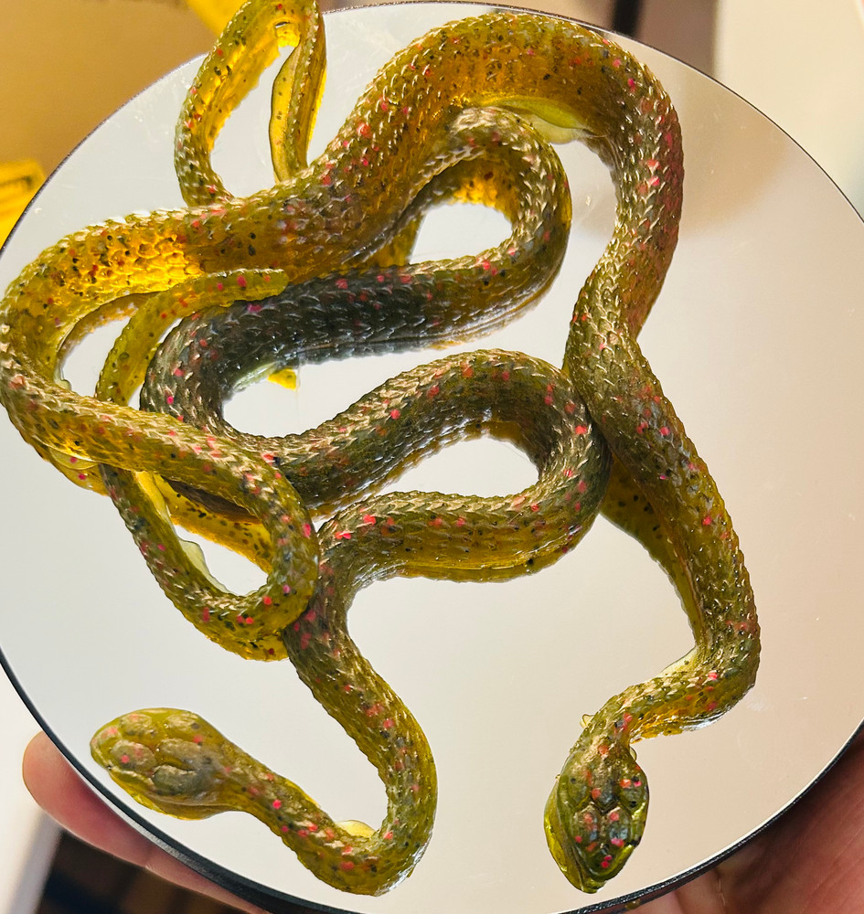 15” Floating Salted Snake Baits – 4 Pack | Brains Baits Big Fish Soft Plastics