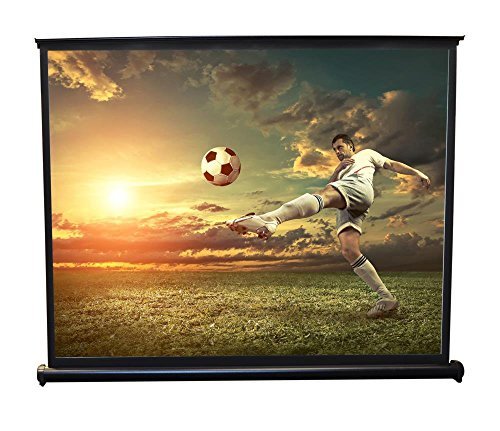Pyle PRJTP53 40'' x 30'' Mobile Pull-Out Style Portable Projector Screen
