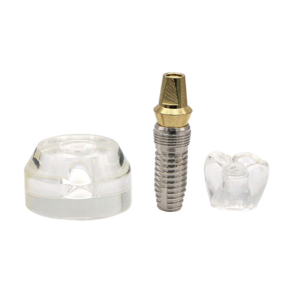 Dental Implant Model Demonstration Teeth Study Teach Models Detachable M2020