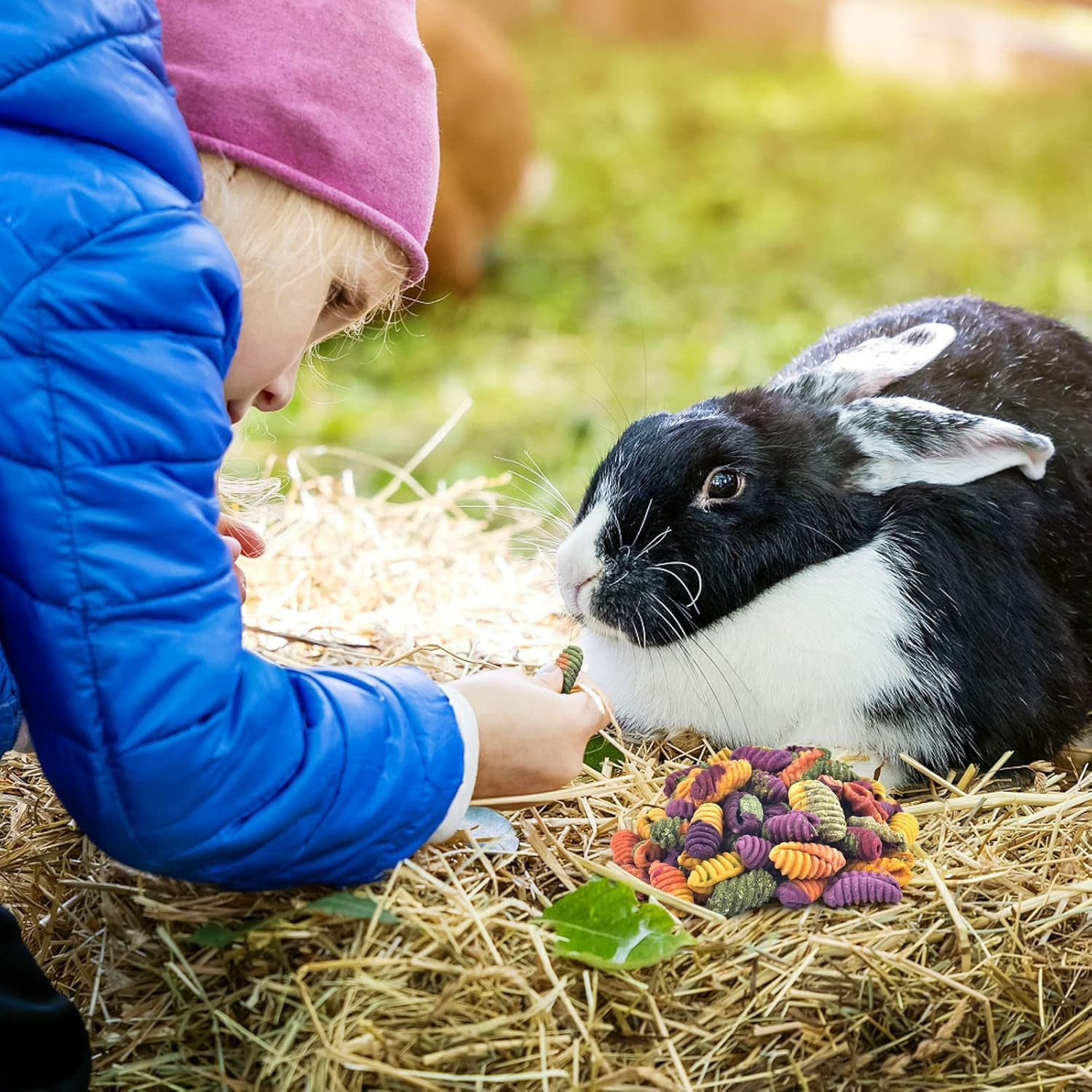 Chinchilla Treats, Chew Toys for Teeth for Rabbit Guinea Pig Gerbil Rat Dwarf Ha
