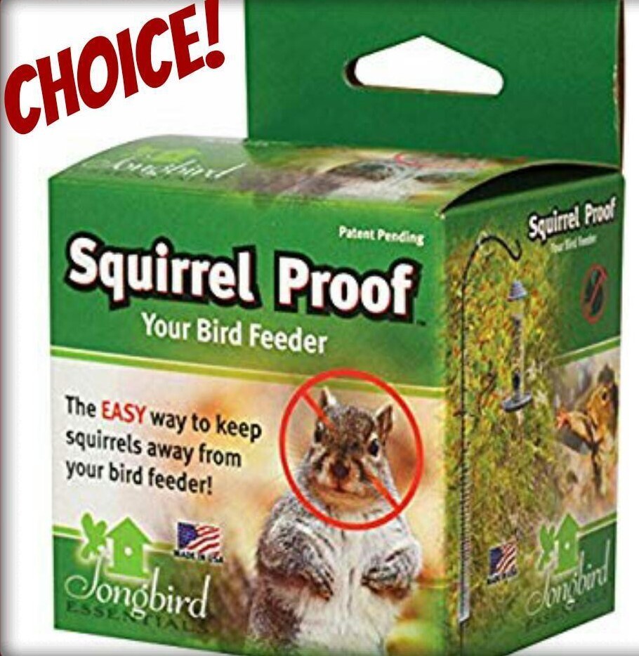 SQUIRREL PROOF Spring 1 or 2 Slinky Device (YOUR CHOICE) Squirrel Deterrent
