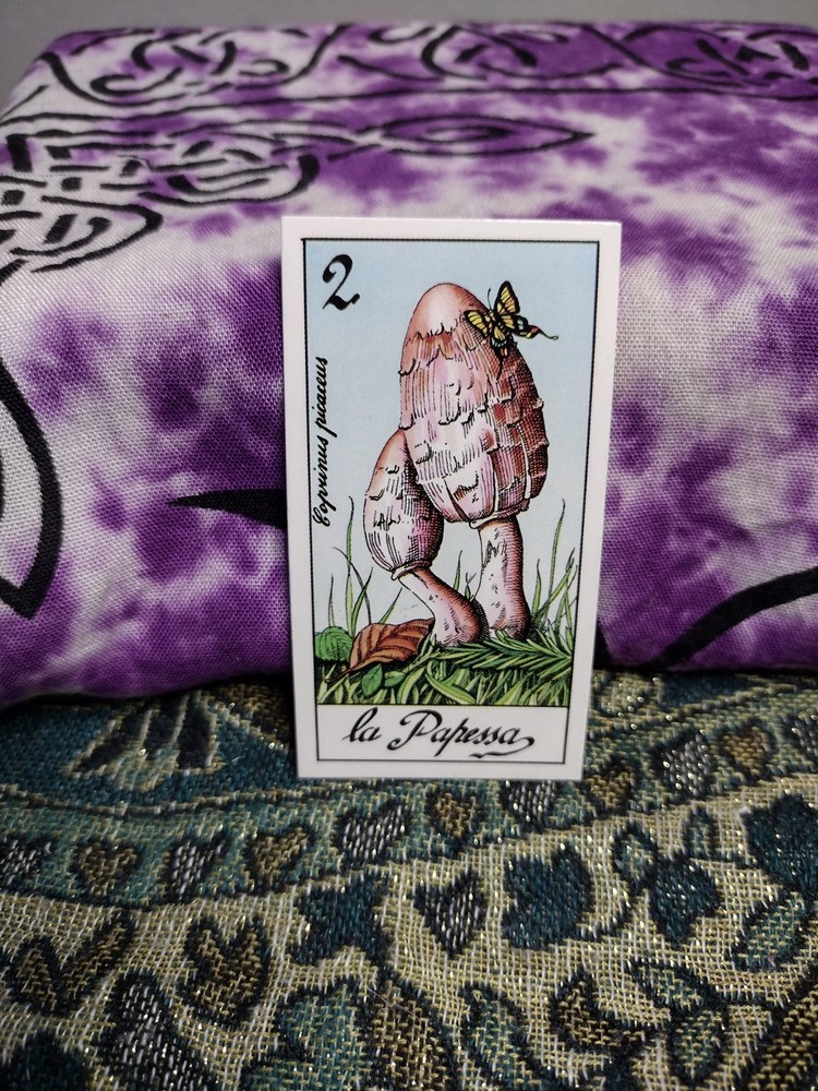 Fungus Tarot by Meneghello 1987