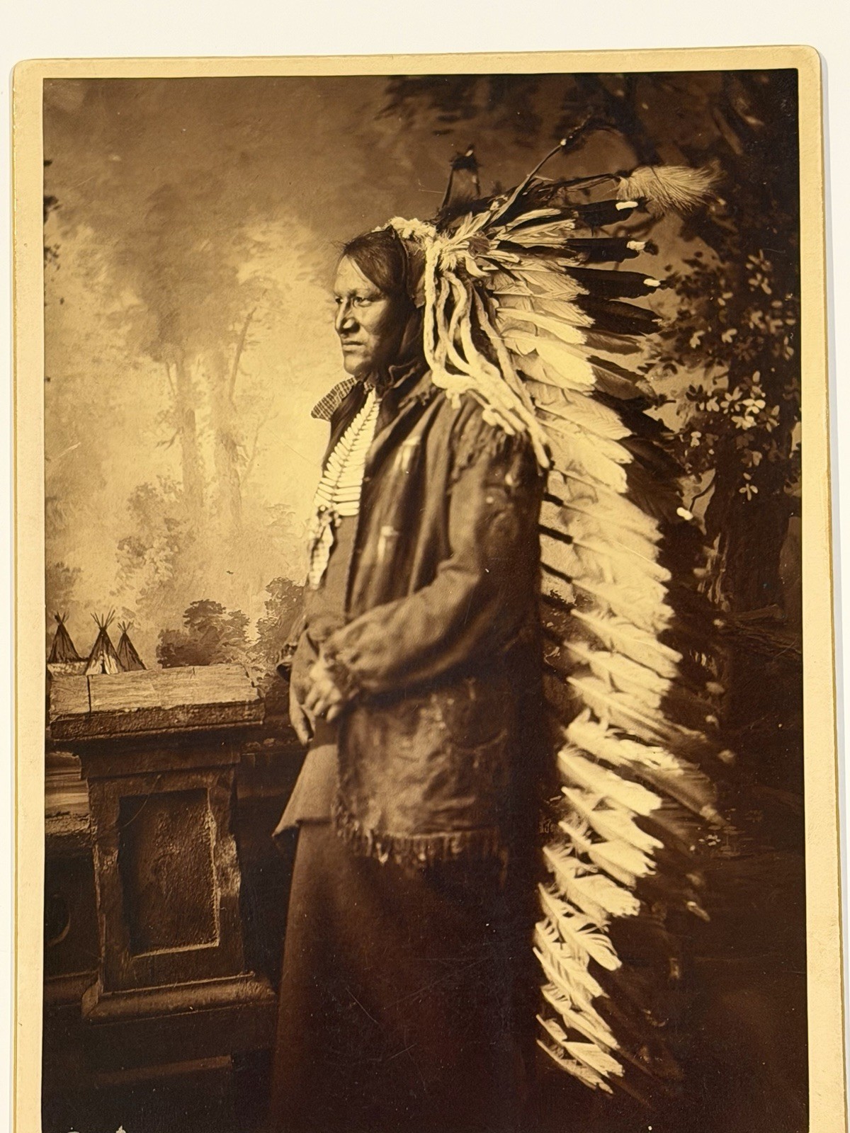 Antique Native American Indian Albumen Print "Chief John Grass" By: D. F. Barry