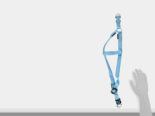 Petcessory LED Step in Harness, Large, Blue
