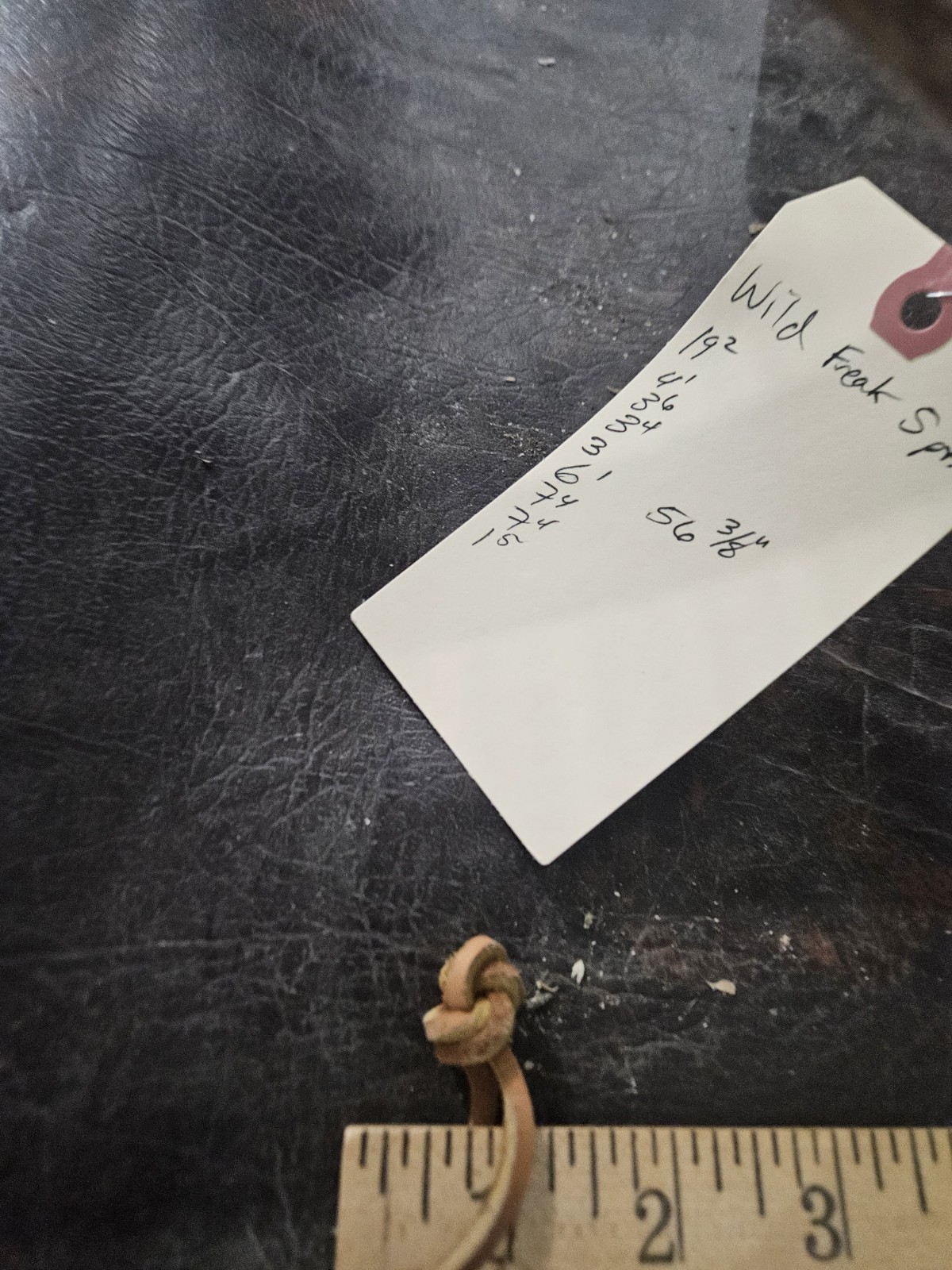 Freak Whitetail Deer Antler Shed Horn Rack Decor 5 Point Man Cave Decor 56"