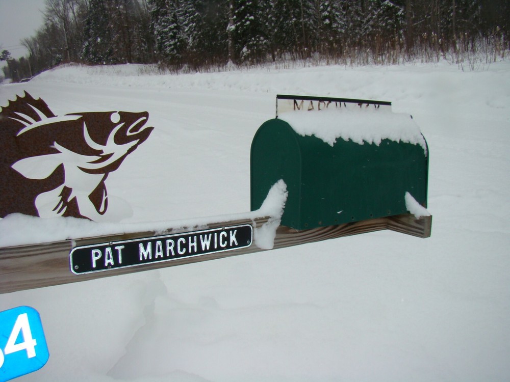 Swing Pivoting, moveable, gravity self centering mailbox hinge, pivots both ways