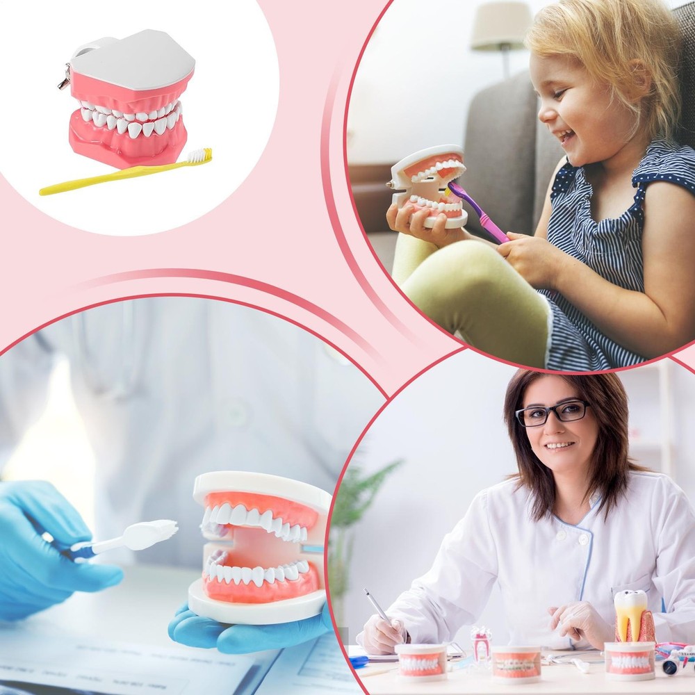 Interactive Tooth Brushing Model for Educational Training with Toothbrush