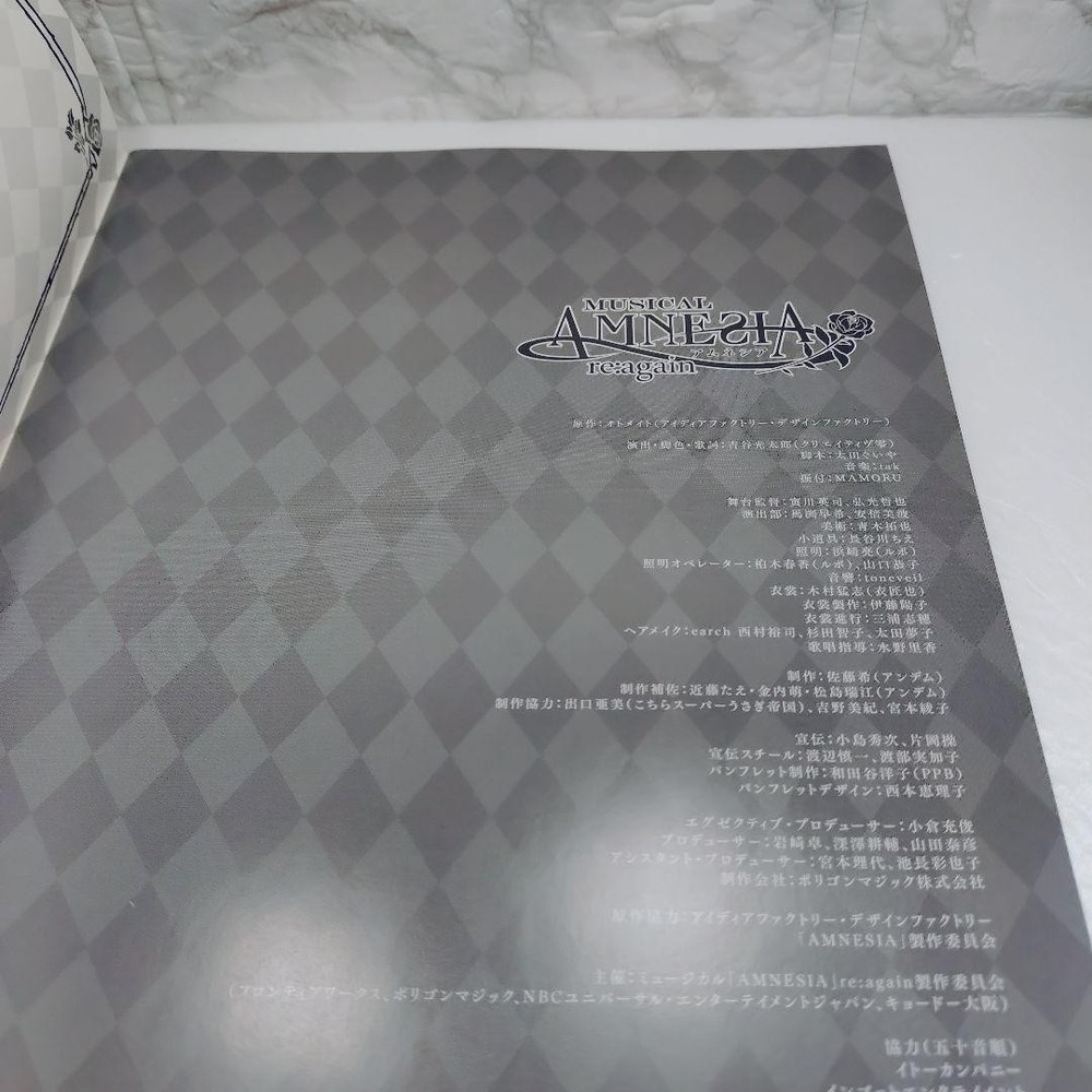 MUSICAL Amnesia re:again pamphlet
