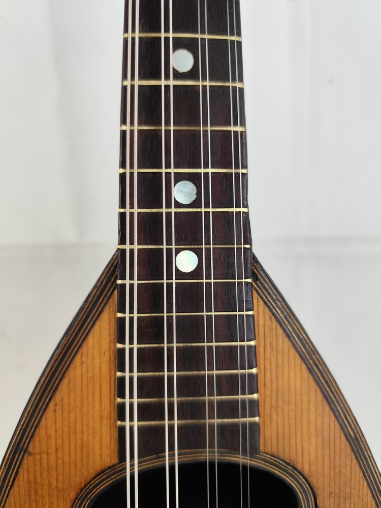 Mandolin 4/4 Viscardo Maccolini 1925 Milan 曼陀林 만돌린マンドリン