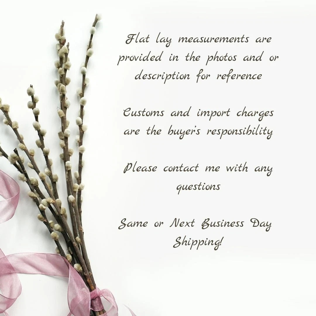 Vintage 60s Danish Teak Hedgehog Clothes Tabletop Crumb Brush MCM Shoe Cleaner